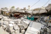  ارزیابی نهایی از خسارت های وارد شده به مناطق زلزله زده را به هیات دولت ارسال می شود 