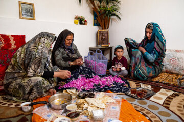 جشنواره برداشت گل محمدی عنصرود