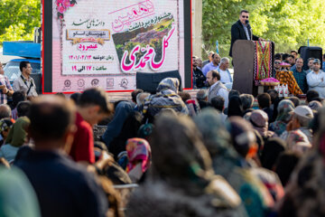 جشنواره برداشت گل محمدی عنصرود