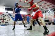 ۴۸ هیات ورزشی در زنجان فعال است 