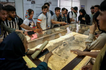 Los estudiantes extranjeros visitan las atracciones turísticas de Qazvin 