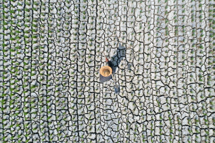 کِشت فرا سرزمینی، نسخه آسیایی برای امنیت غذایی