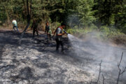 آتش‌سوزی‌ اراضی جنگلی سه شهرستان گیلان کامل مهار شد