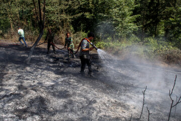  آتش‌سوزی‌ اراضی جنگلی سه شهرستان گیلان کامل مهار شد