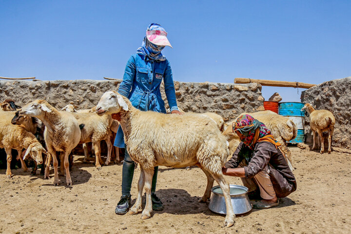 سهم ناچیز مناطق عشایری دلفان در صنعت گردشگری لرستان