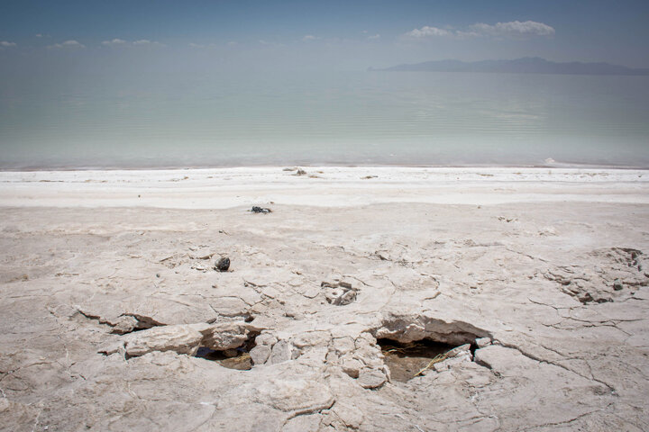 میزان آتش سوزی در جنگلهای آذربایجانغربی ۹۶ درصد کاهش یافت