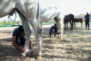 Tournoi de polo de la Coupe du général Soleimani