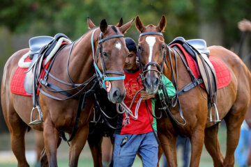 Tournoi de polo de la Coupe du général Soleimani