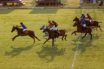 Tournoi de polo de la Coupe du général Soleimani