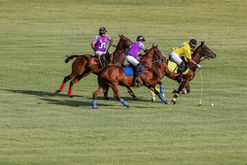 Tournoi de polo de la Coupe du général Soleimani