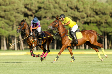 Tournoi de polo de la Coupe du général Soleimani