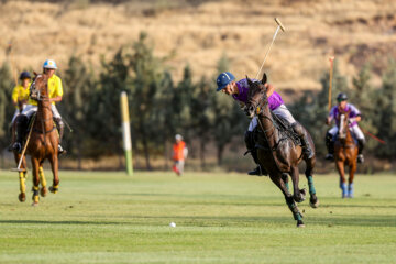 Tournoi de polo de la Coupe du général Soleimani