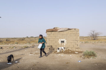 بنفشه آقایی درحال غذا رسانی به توله هایی ست که مدتی پیش مادر خود را در اثر تصادف از دست داده اند. او می گوید از آنجا که این توله ها ساکن بیابان بوده، فاصله ی زیادی با شهر دارند و هنوز کوچکند، ترجیح می دهد فعلا آنها را به پناهگاه منتقل نکند.