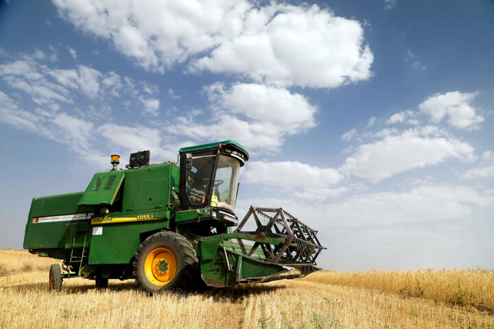 توقف واردات گندم در سال جاری/ در سال پایانی دولت قبل ۷ میلیون تن گندم وارد شد
