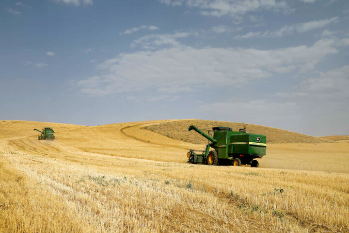 وقتی دولت شانه به زیر پروژهای سخت برد/اصلاح الگوی کشت؛ ضروری اما پیچیده