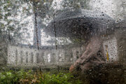 بیشترین بارش باران طی ۲۴ ساعت گذشته در سیاه گاو آبدانان ثبت شد