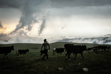 Galesh, pastores de vacas en los bosques iraníes de Hircanos