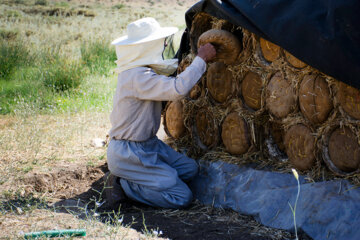 زنبوردای در روستای گرده سور