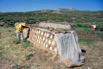 زنبوردای در روستای گرده سور