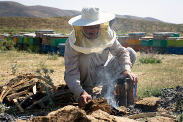 زنبوردای در روستای گرده سور