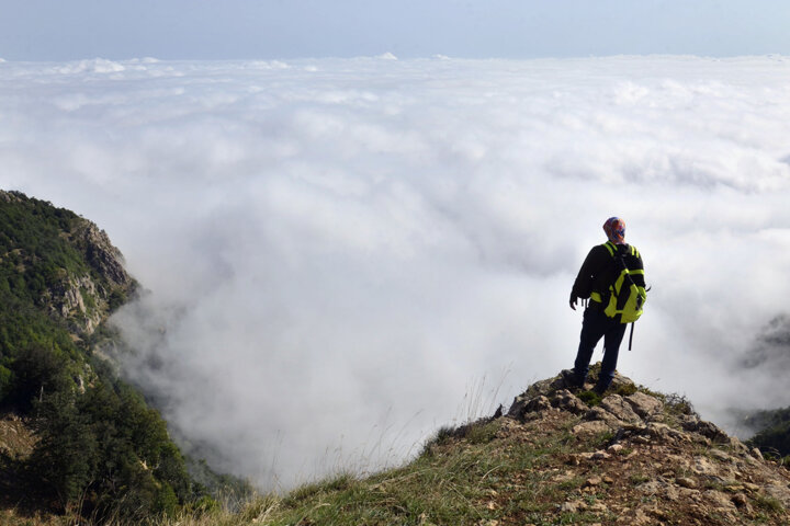 رودبار؛ سرزمین زیتونهای جاودان تا رازهای هزار ساله طبیعت