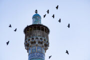 ۱۲ مسجد و حسینیه در جزیره قشم در حال ساخت است