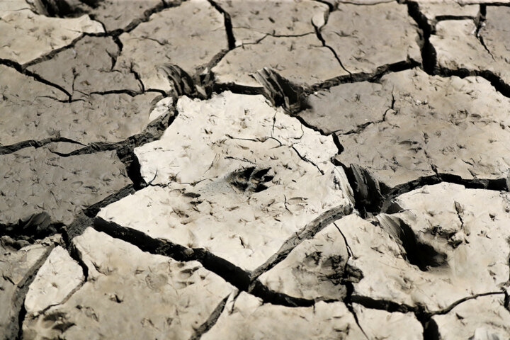 قطب صنعتی شرق کشور برای ارتقای تولید چه نیازهایی دارد؟