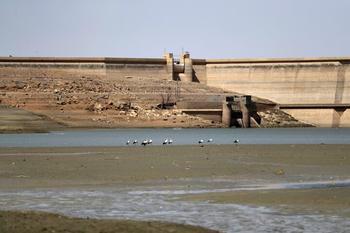 فشار دستان لانینا بر گلوی آسمان خراسان رضوی