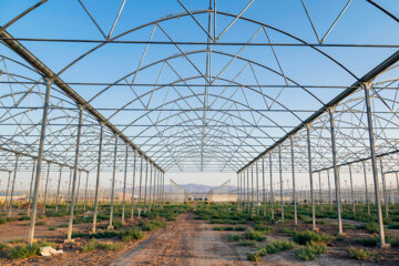 توسعه ۲ هزار هکتاری شهرک‌ کشاورزی آذربایجان غربی در دستور کار است