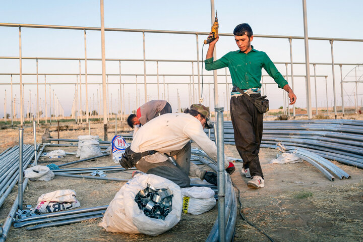سرمایهگذاری بیشاز ۱۰هزار میلیارد ریالی بنگاههای اقتصادی در بخش کشاورزی سیستان و بلوچستان