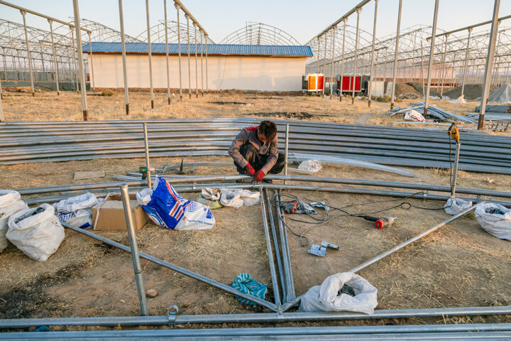 گامهای هدفمند دولت سیزدهم در مسیر توسعه گلخانههای سیستان و بلوچستان