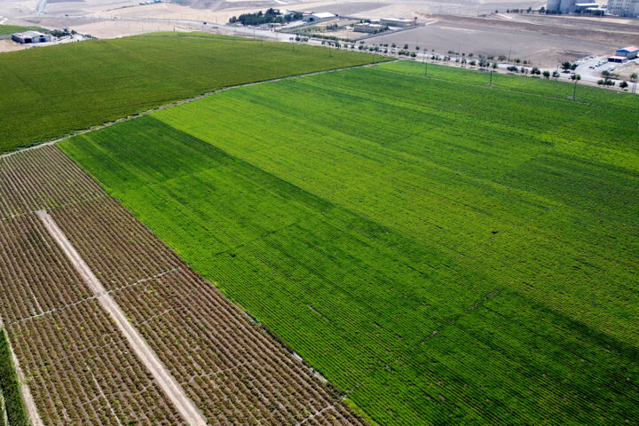 احداث سد آبریز در کهگیلویه و بویراحمد ، کنترل سیلاب مخرب و تحول در کشاورزی