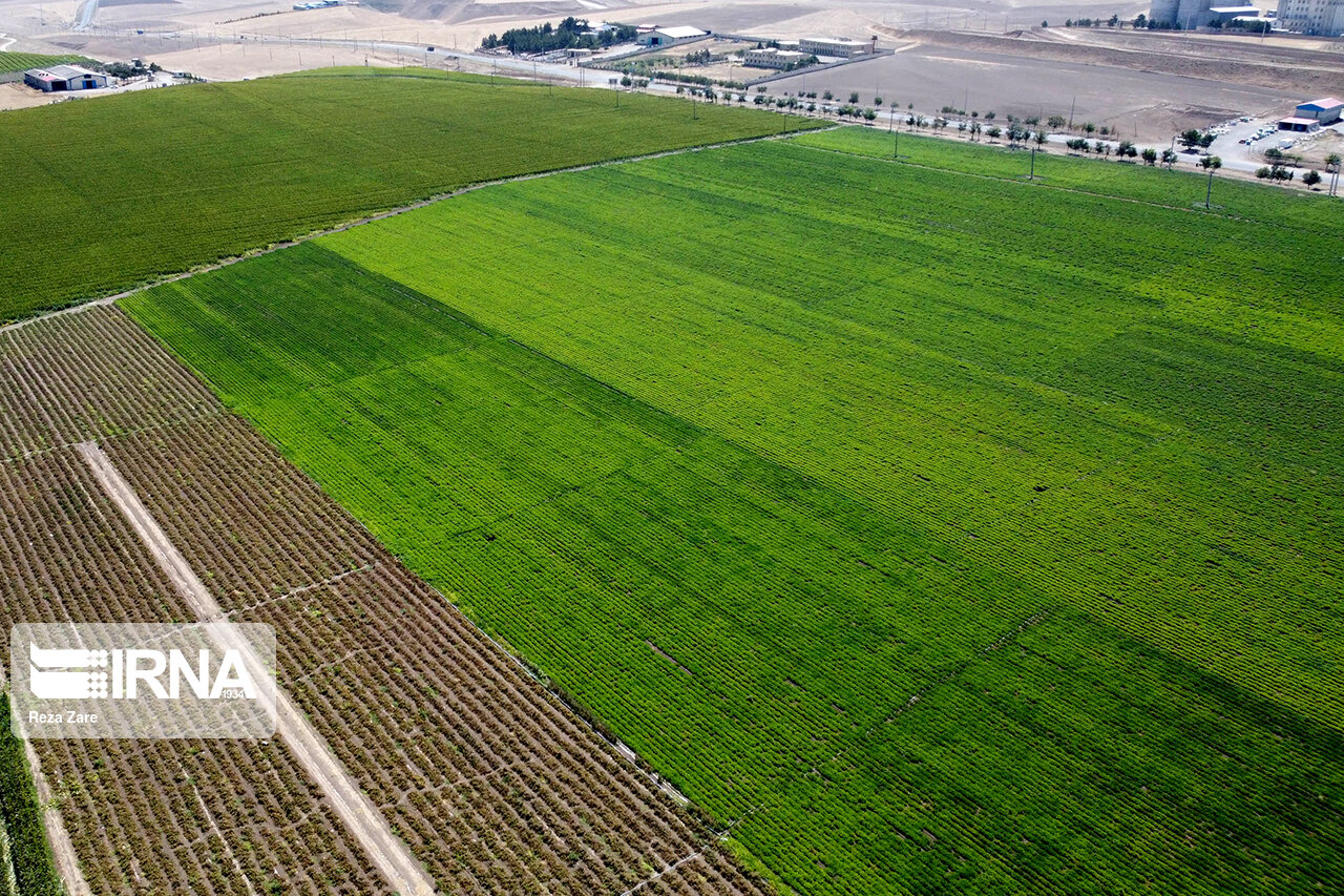 اجرای چهارده طرح کشاورزی آذربایجان شرقی با اعتبارات مولدسازی اجرای چهارده طرح کشاورزی آذربایجان شرقی با اعتبارات مولدسازی