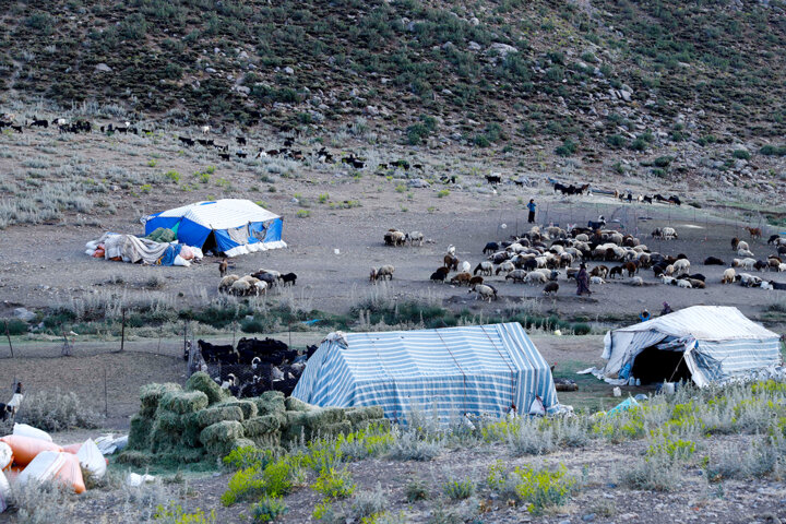 طنین آواز کوچ در کوه و دشت لرستان 