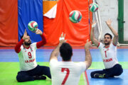 پنج ورزشکار خراسان رضوی به اردوی تیم های ملی والیبال نشسته دعوت شدند