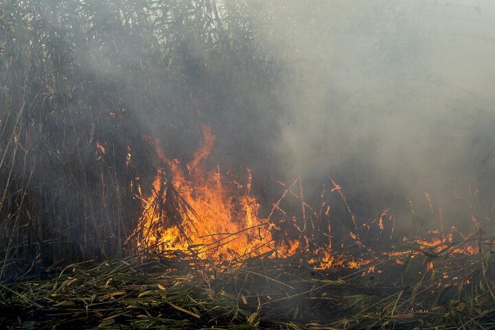 آب و آتش چالش روزهای داغ گیلان