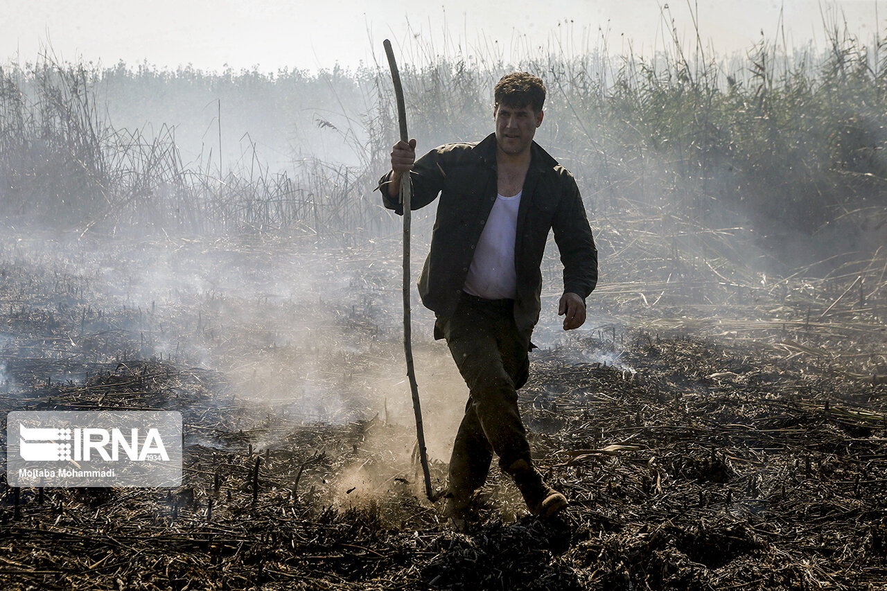 ۴ نفر در رابطه با آتش سوزی تالاب انزلی دستگیر شدند  ۴ نفر در رابطه با آتش سوزی تالاب انزلی دستگیر شدند