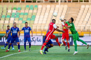 سرپرست هوادار: تنها در ورزشگاه پاس با پرسپولیس بازی می‌کنیم