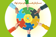 ۵۷ سازمان مردم‌نهاد در استان بوشهر فعال هستند