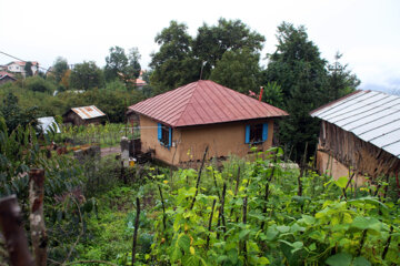 روستای «شانه تراش» در منطقه دوهزار تنکابن 