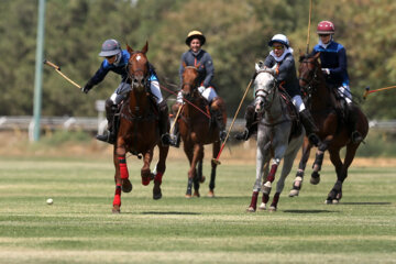 مسابقه چوگان جام صفویه