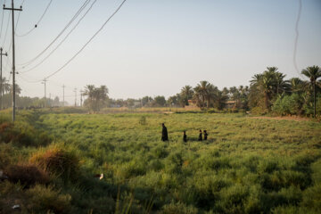 در مسیر کربلا