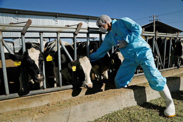 100 سال نقش دامپزشکی در سلامت جامعه و بیماری های ریشه کن شده