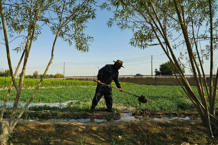 انتقال آب بین حوضهای یا مدیریت پایدار منابع/ جزیرهای عمل نکنیم