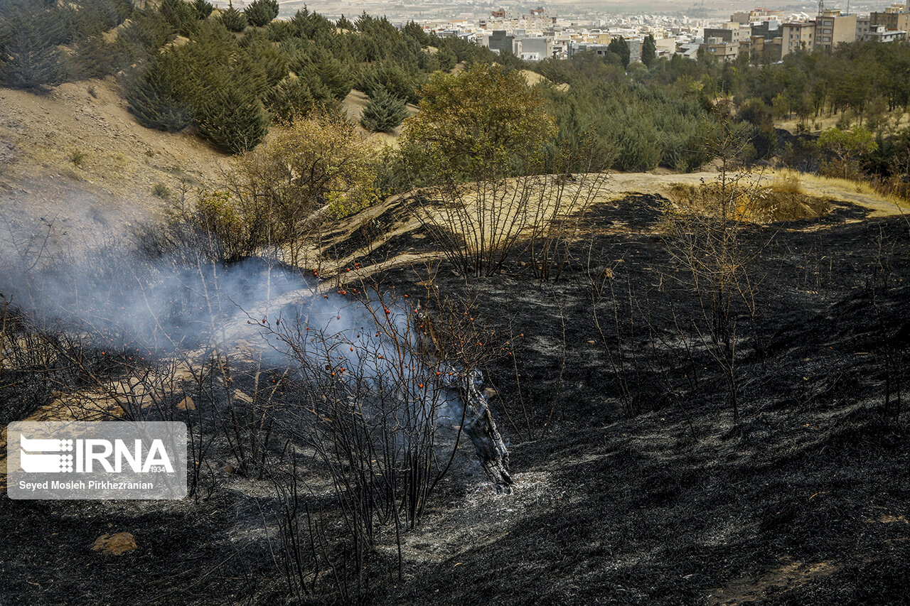 آتش سوزی در اراضی طبیعی استان مرکزی ۱۰۷ درصد کاهش یافت