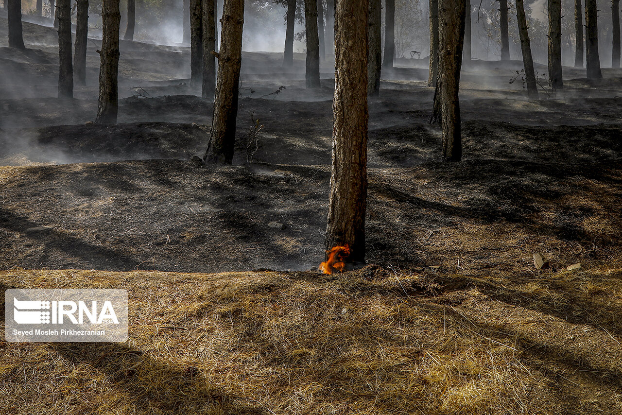 آتش‌سوزی سطحی اراضی جنگلی رودبار و سیاهکل مهار شد