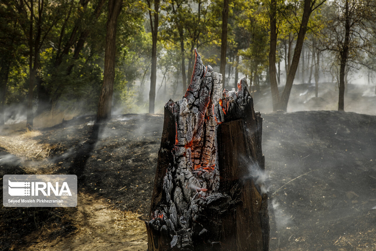 هشدار هواشناسی گلستان درباره احتمال آتش‌سوزی در جنگل‌های هیرکانی