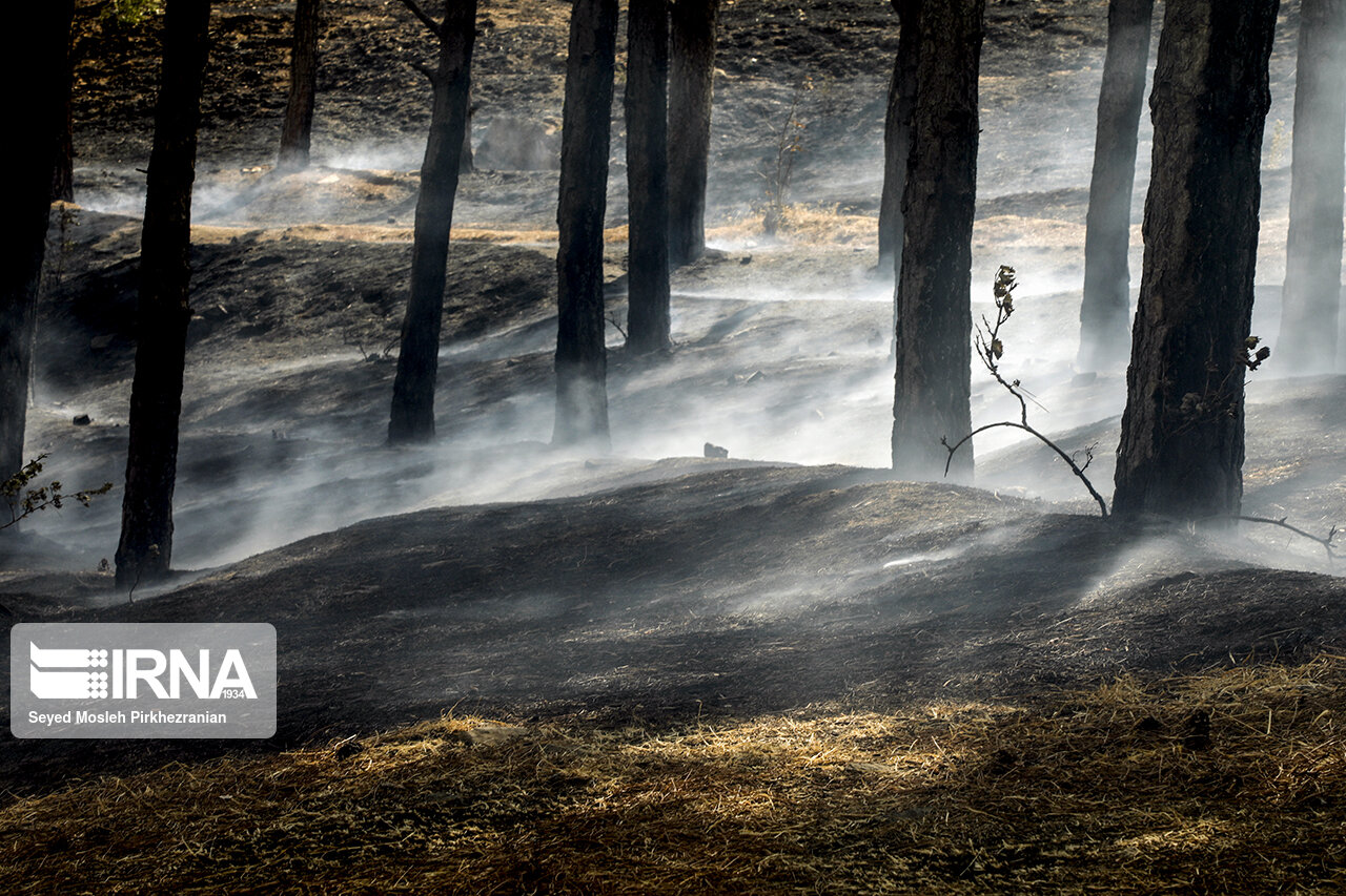 آتش زیرخاکستر در کمین جنگل‌های هیرکانی