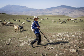 «مهدی داخیم» دانش آموز کلاس پنجم