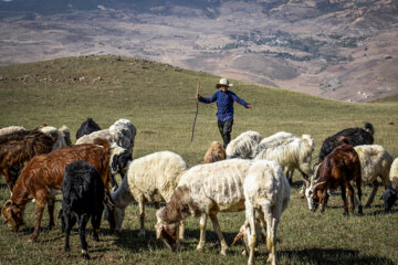 «مهدی داخیم» دانش آموز کلاس پنجم